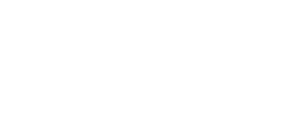 Yayasan Solidaritas Muda Indonesia
